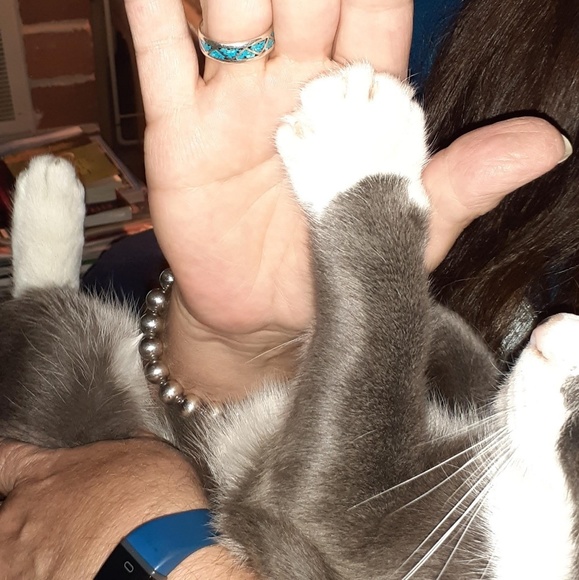 Meet your Posher, Karen - Picture 1 of 1